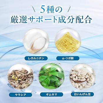 Amazon | ナイシメンテGOLD エラグ酸 9mg 肥満気味の方の 体重
